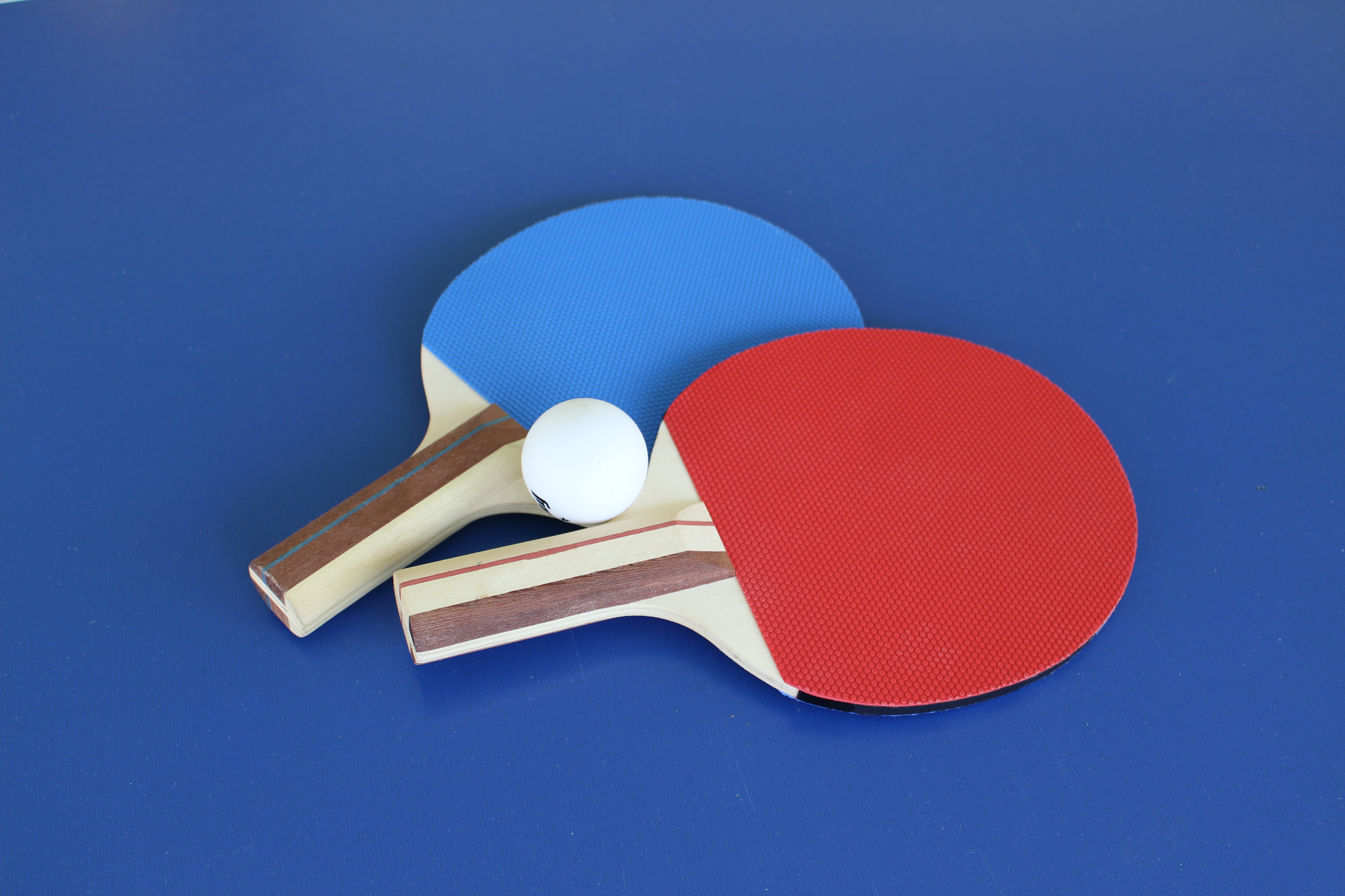 Table Tennis Pic